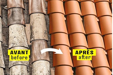 Michelet Rénovation démoussage toiture traitement professionnel